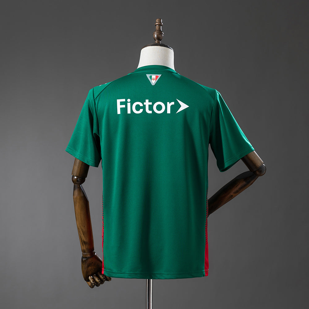 Palmeiras 26/27 - Torcedor