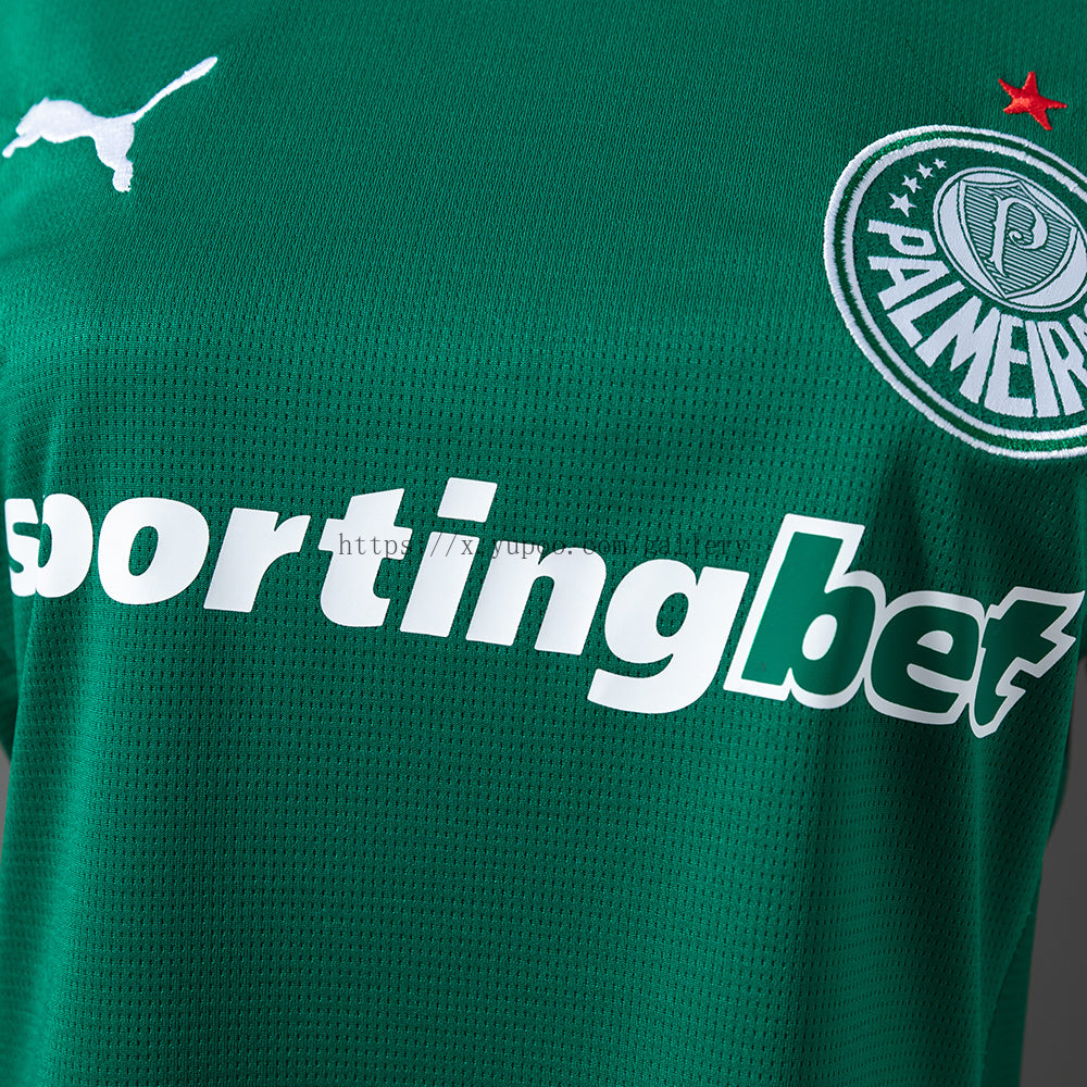 Palmeiras 26/27 - Torcedor